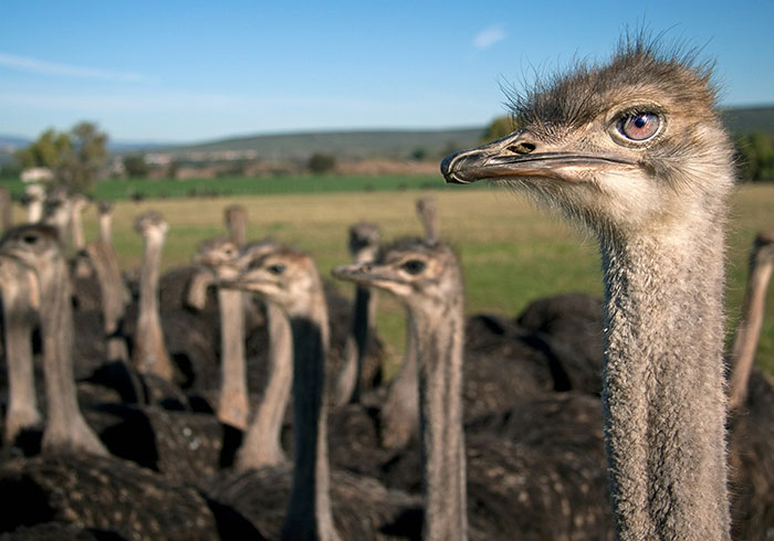 77 Cool Facts Ranging From Mildly Surprising To Truly Unbelievable (New Pics)