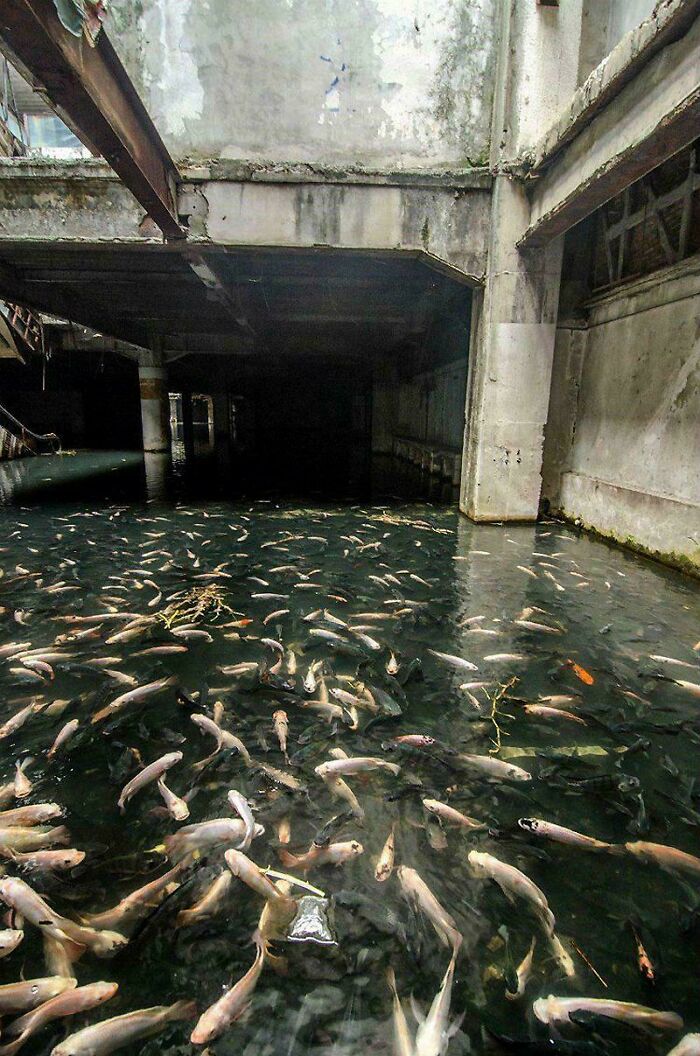 132 Pictures Of &lsquo;Urban Hell&rsquo; That Have No Soul And Are Weirdly Eerie (New Pics)