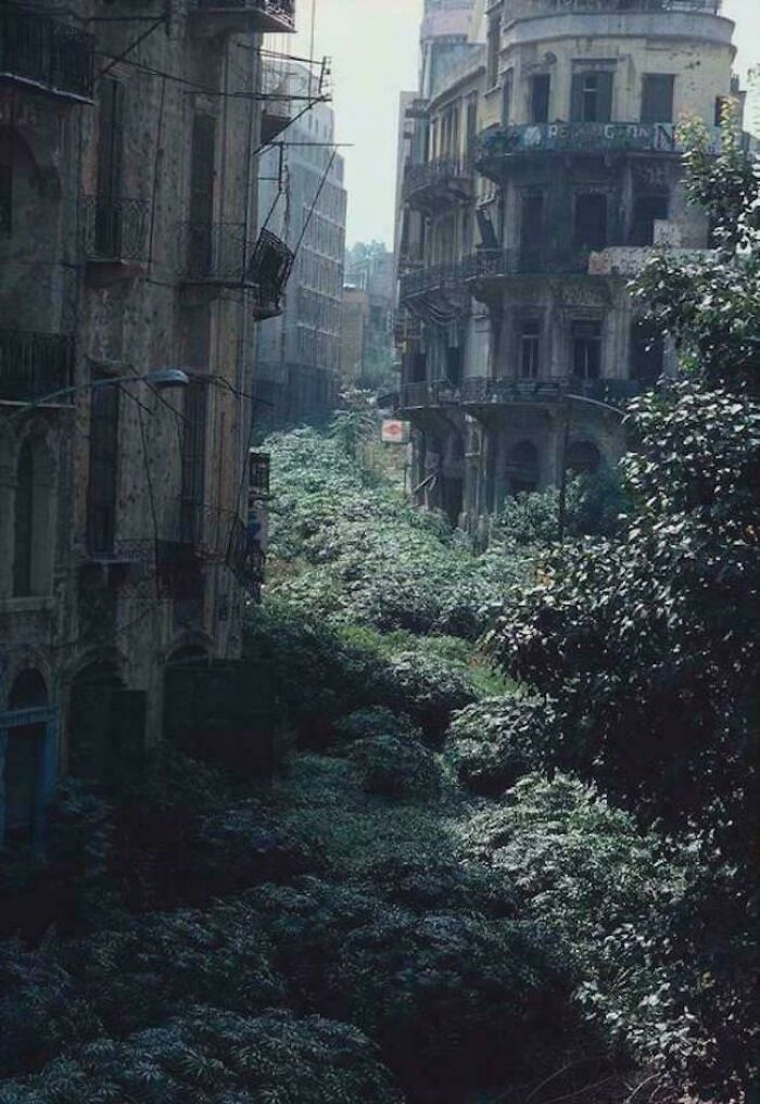 132 Pictures Of &lsquo;Urban Hell&rsquo; That Have No Soul And Are Weirdly Eerie (New Pics)