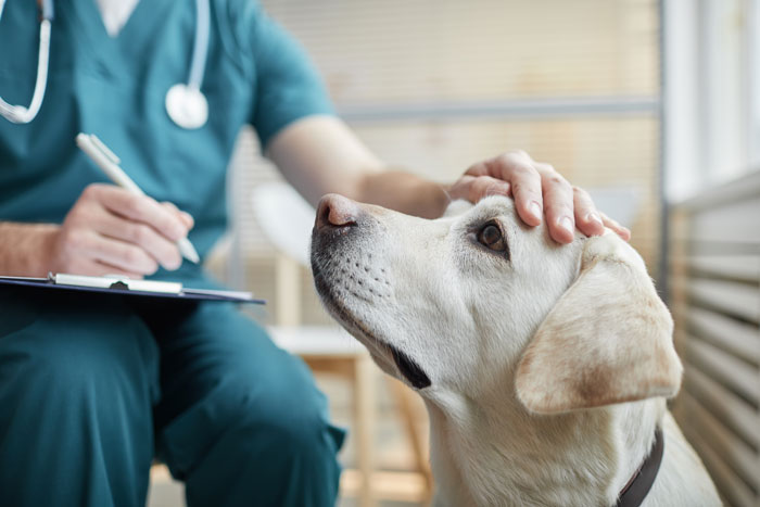 51 Times Patients Lied To Doctors And Really Thought It Was Going To Work