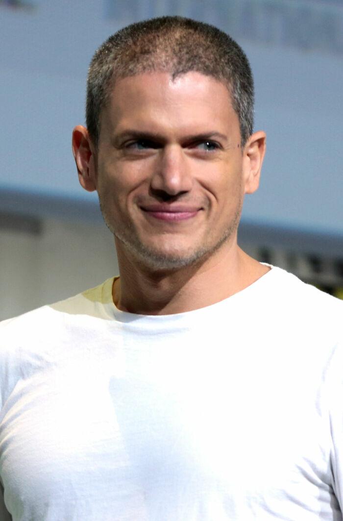 Wentworth Miller: Bio And Career Highlights Wentworth Miller: Bio And Career Highlights