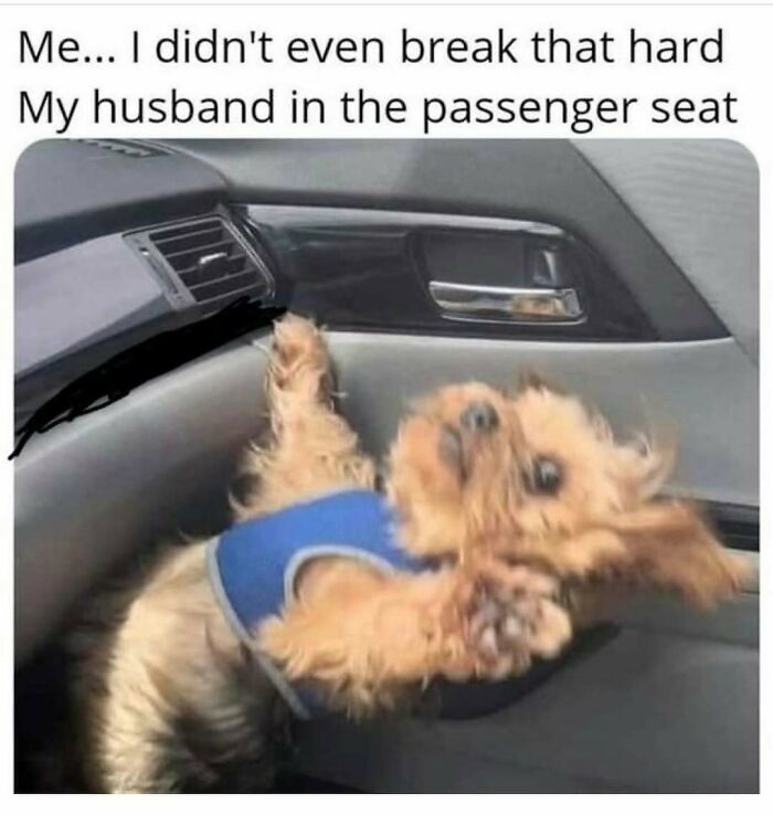 44 Funny Husband And Wife Memes That Might Make You Turn To Your Partner And Say “Yep, That Is Us” 44 Funny Husband And Wife Memes That Might Make You Turn To Your Partner And Say “Yep, That Is Us”