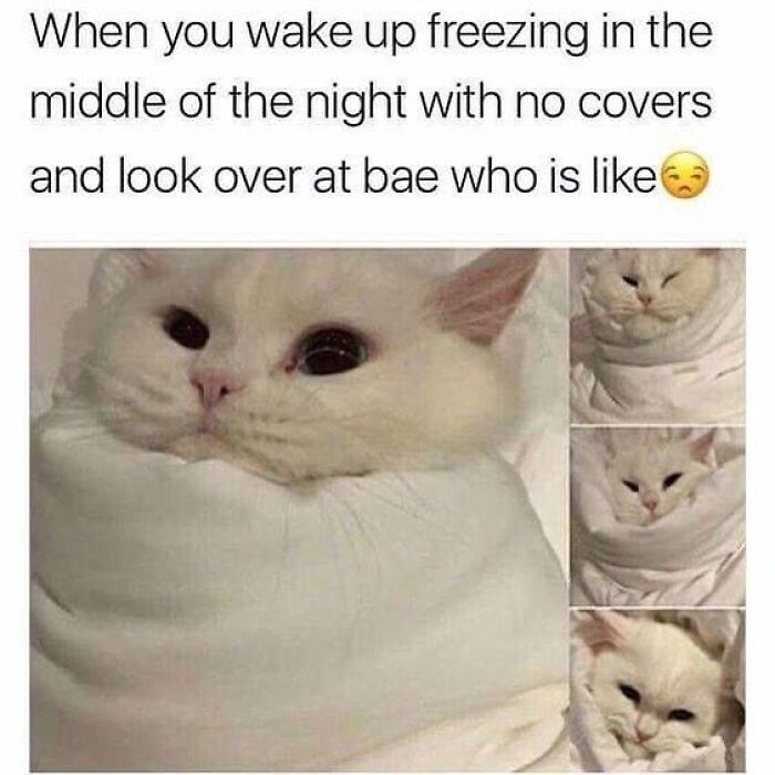 44 Funny Husband And Wife Memes That Might Make You Turn To Your Partner And Say “Yep, That Is Us” 44 Funny Husband And Wife Memes That Might Make You Turn To Your Partner And Say “Yep, That Is Us”