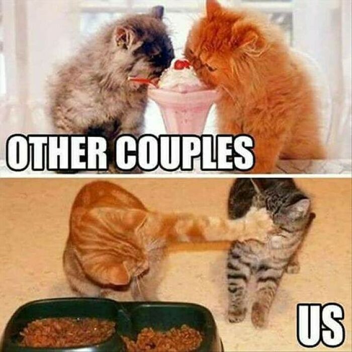 44 Funny Husband And Wife Memes That Might Make You Turn To Your Partner And Say “Yep, That Is Us” 44 Funny Husband And Wife Memes That Might Make You Turn To Your Partner And Say “Yep, That Is Us”