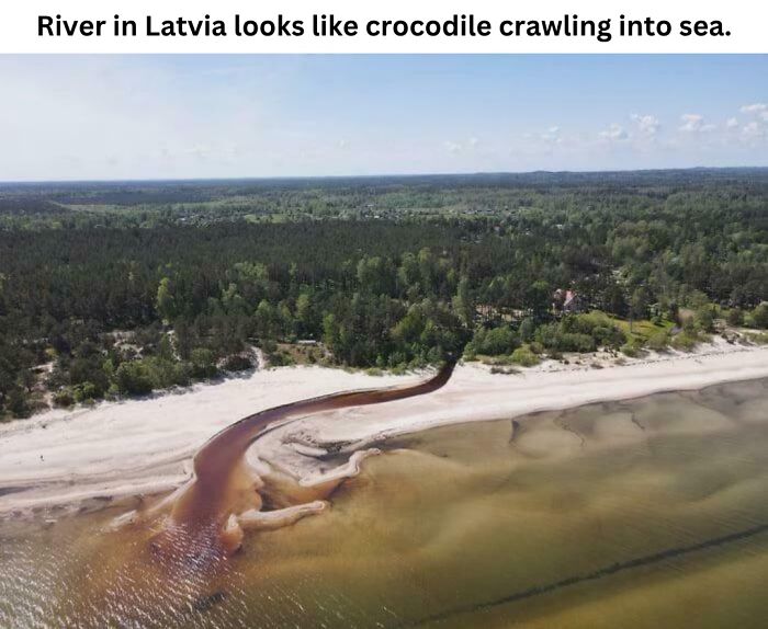 50 Fascinating Pics And Facts Shared By &ldquo;Biologist Michael&rdquo; That Might Change How You See The World