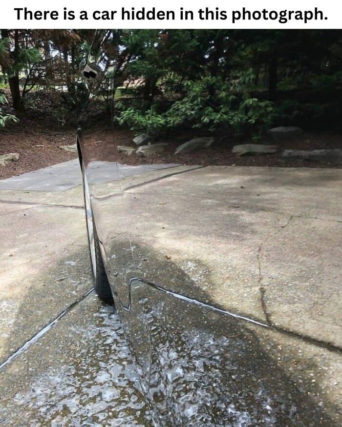 50 Fascinating Pics And Facts Shared By &ldquo;Biologist Michael&rdquo; That Might Change How You See The World