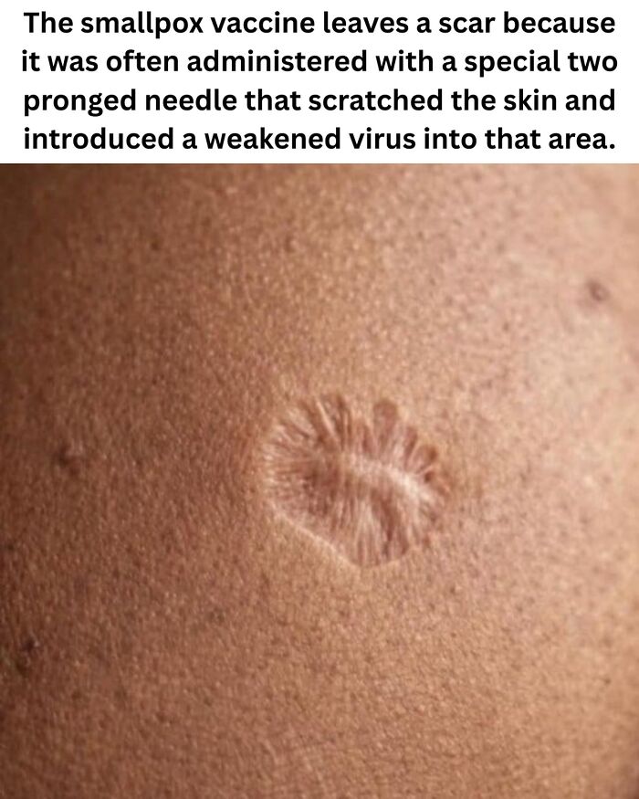50 Fascinating Pics And Facts Shared By &ldquo;Biologist Michael&rdquo; That Might Change How You See The World