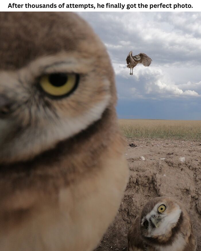 50 Fascinating Pics And Facts Shared By &ldquo;Biologist Michael&rdquo; That Might Change How You See The World