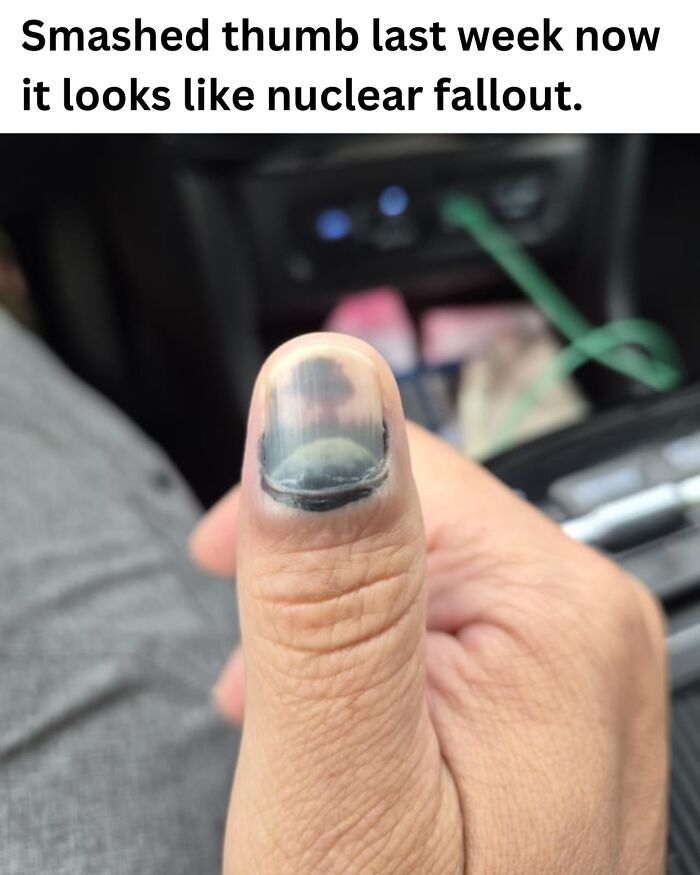 50 Fascinating Pics And Facts Shared By &ldquo;Biologist Michael&rdquo; That Might Change How You See The World