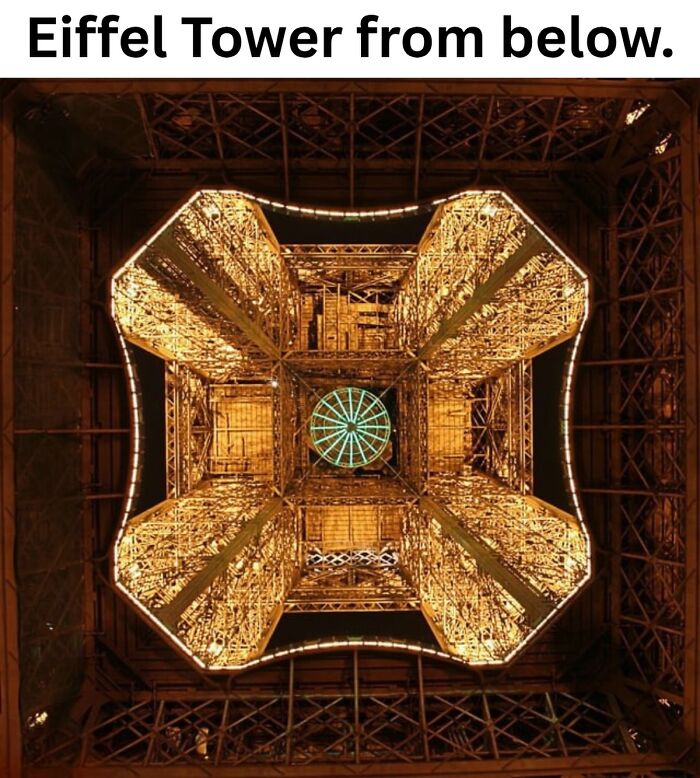 50 Fascinating Pics And Facts Shared By &ldquo;Biologist Michael&rdquo; That Might Change How You See The World