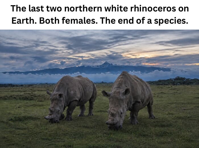 50 Fascinating Pics And Facts Shared By &ldquo;Biologist Michael&rdquo; That Might Change How You See The World