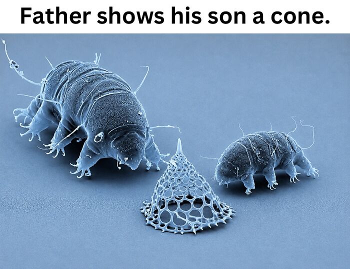50 Fascinating Pics And Facts Shared By &ldquo;Biologist Michael&rdquo; That Might Change How You See The World