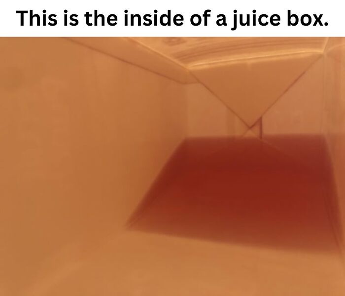 50 Fascinating Pics And Facts Shared By &ldquo;Biologist Michael&rdquo; That Might Change How You See The World
