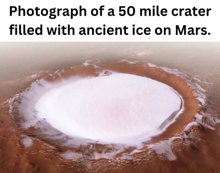 50 Fascinating Pics And Facts Shared By &ldquo;Biologist Michael&rdquo; That Might Change How You See The World