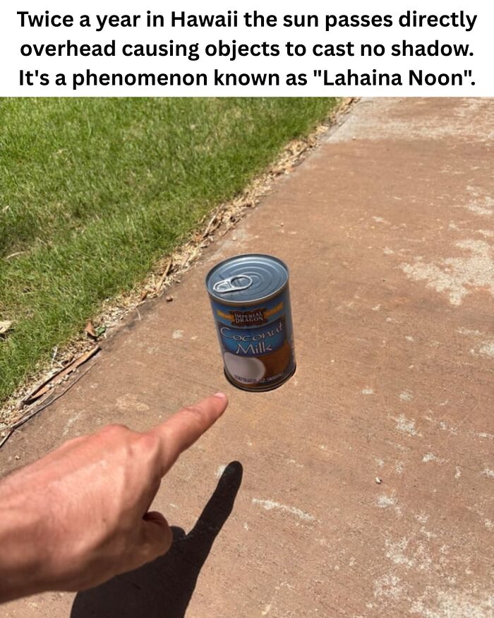 50 Fascinating Pics And Facts Shared By &ldquo;Biologist Michael&rdquo; That Might Change How You See The World