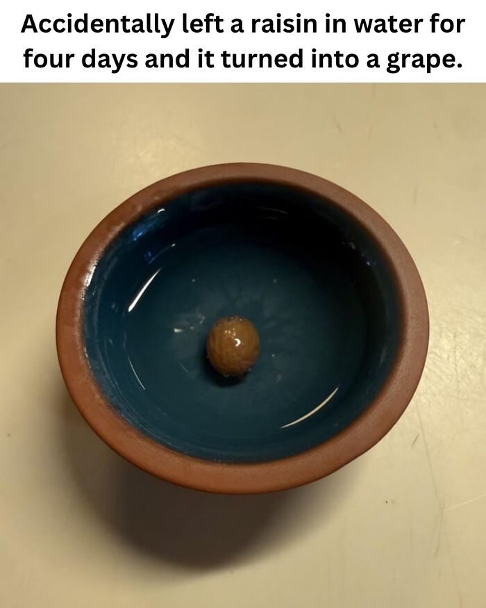 50 Fascinating Pics And Facts Shared By &ldquo;Biologist Michael&rdquo; That Might Change How You See The World