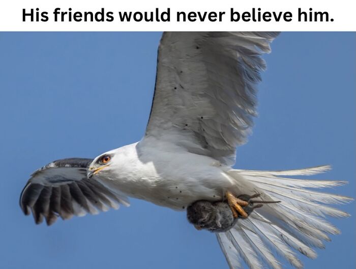 50 Fascinating Pics And Facts Shared By &ldquo;Biologist Michael&rdquo; That Might Change How You See The World