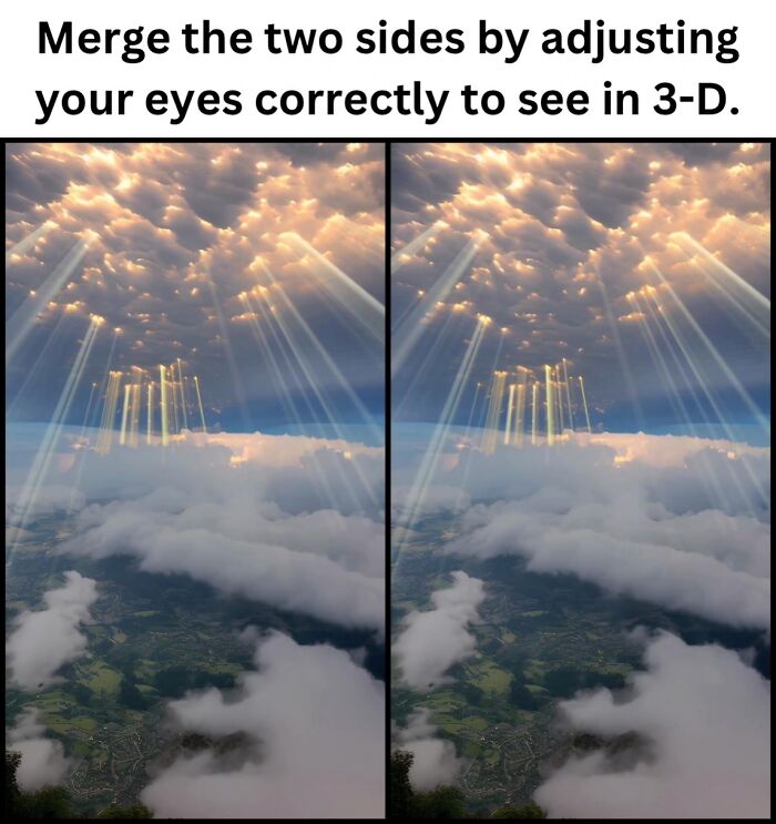 50 Fascinating Pics And Facts Shared By &ldquo;Biologist Michael&rdquo; That Might Change How You See The World