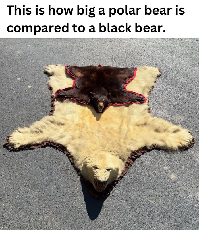 50 Fascinating Pics And Facts Shared By &ldquo;Biologist Michael&rdquo; That Might Change How You See The World