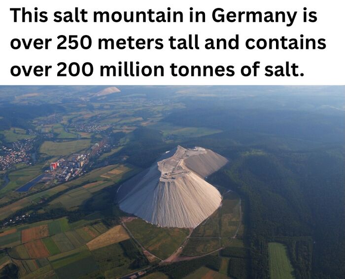 50 Fascinating Pics And Facts Shared By &ldquo;Biologist Michael&rdquo; That Might Change How You See The World