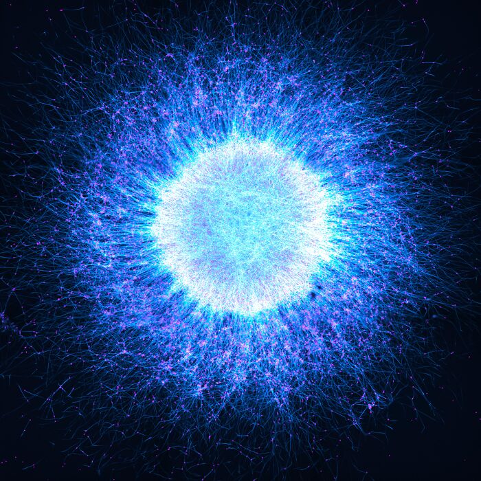 Evident Scientific’s 2025 Image Of The Year Award: 17 Pics Revealing The Beauty Of Science Evident Scientific’s 2025 Image Of The Year Award: 17 Pics Revealing The Beauty Of Science
