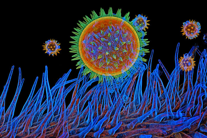 Evident Scientific’s 2025 Image Of The Year Award: 17 Pics Revealing The Beauty Of Science Evident Scientific’s 2025 Image Of The Year Award: 17 Pics Revealing The Beauty Of Science