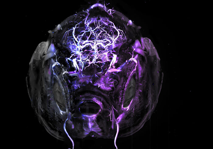 Evident Scientific’s 2025 Image Of The Year Award: 17 Pics Revealing The Beauty Of Science Evident Scientific’s 2025 Image Of The Year Award: 17 Pics Revealing The Beauty Of Science
