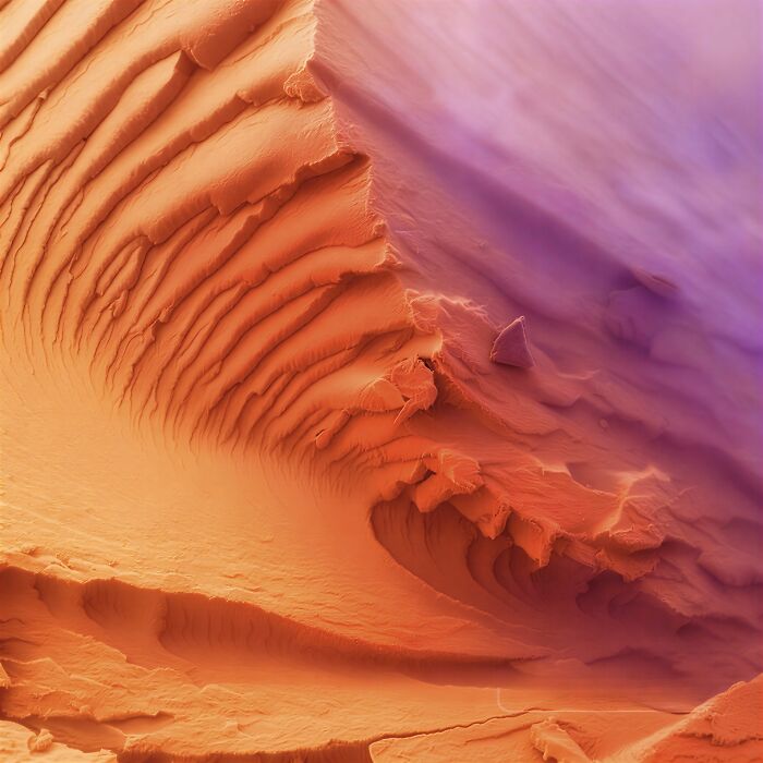Evident Scientific’s 2025 Image Of The Year Award: 17 Pics Revealing The Beauty Of Science Evident Scientific’s 2025 Image Of The Year Award: 17 Pics Revealing The Beauty Of Science