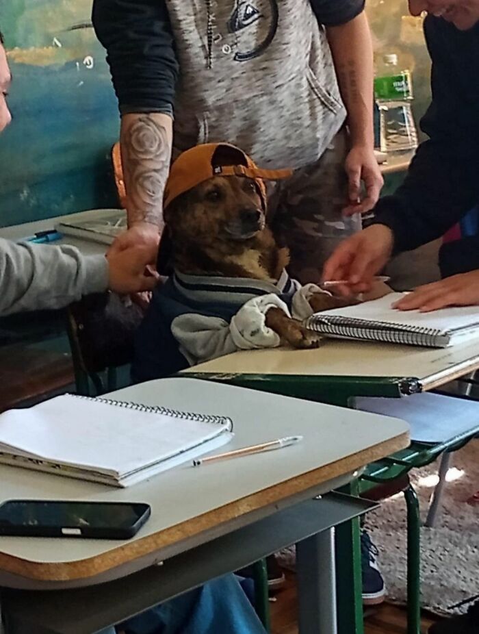 This Facebook Page Shares The Most Ridiculously Funny Dog Photos To Help You De-Stress (30 New Pics)