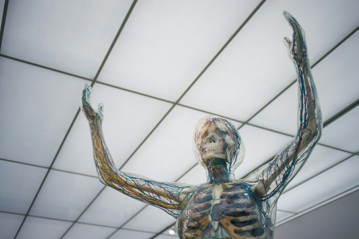 37 Unsettling Facts About The Human Body You May Wish You Never Learned 37 Unsettling Facts About The Human Body You May Wish You Never Learned