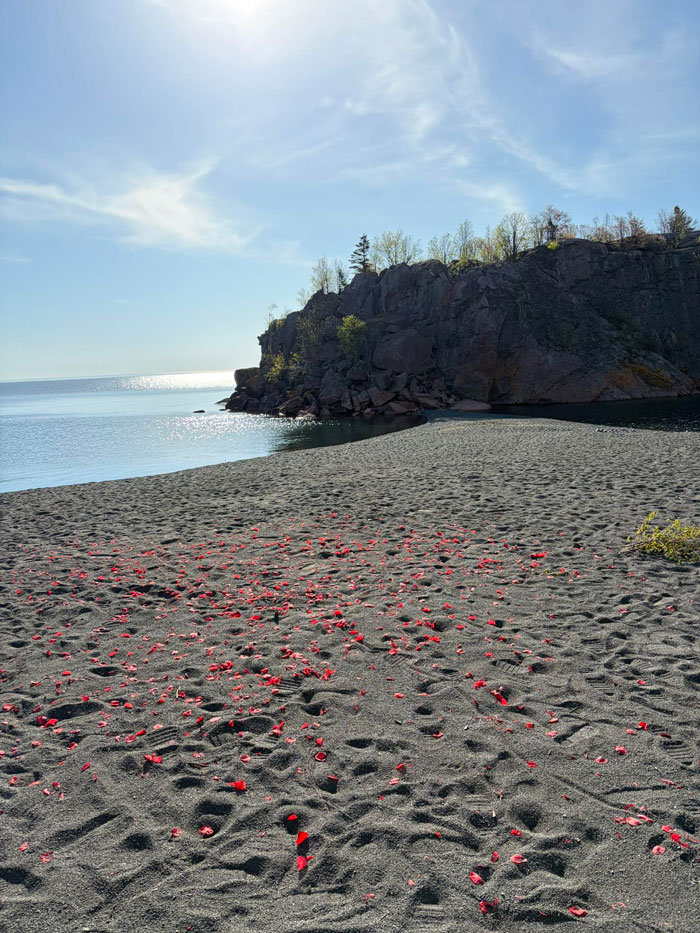 Couple Leaves Behind Fake Petals On Beach After Proposal, Sparks Fury After Photographer Exposes Them Couple Leaves Behind Fake Petals On Beach After Proposal, Sparks Fury After Photographer Exposes Them