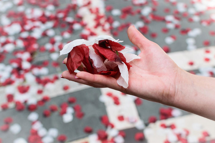 Couple Leaves Behind Fake Petals On Beach After Proposal, Sparks Fury After Photographer Exposes Them Couple Leaves Behind Fake Petals On Beach After Proposal, Sparks Fury After Photographer Exposes Them