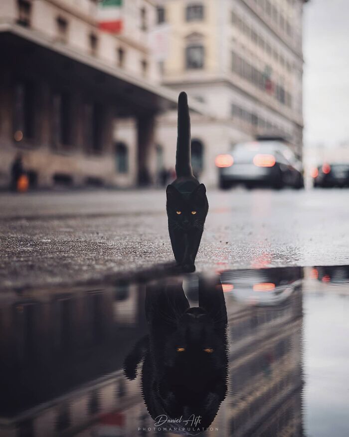 34 Surreal Photomanipulations By Daniel Artx That Look Like Scenes From A Dream 34 Surreal Photomanipulations By Daniel Artx That Look Like Scenes From A Dream
