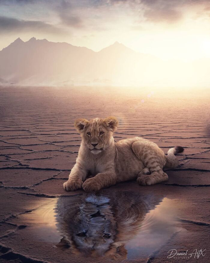 34 Surreal Photomanipulations By Daniel Artx That Look Like Scenes From A Dream 34 Surreal Photomanipulations By Daniel Artx That Look Like Scenes From A Dream