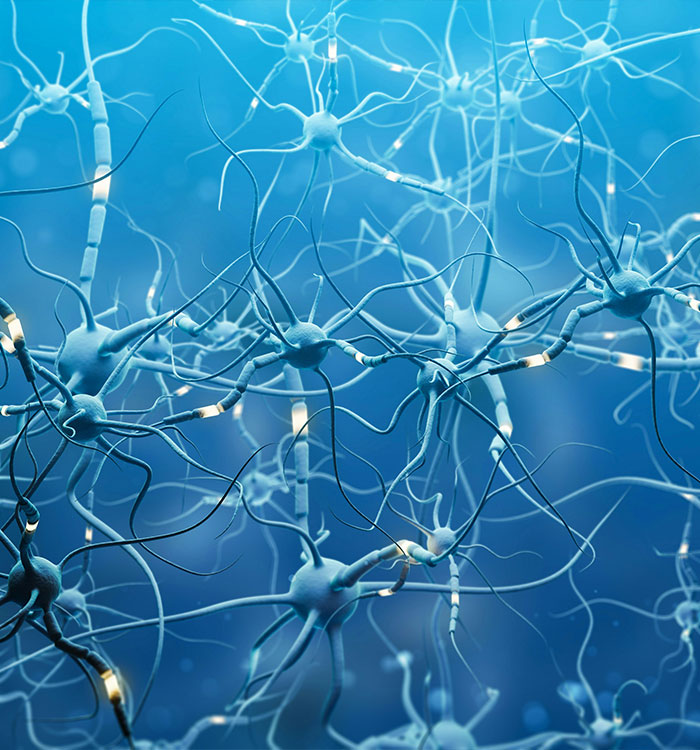 &ldquo;Once It&rsquo;s Gone, It&rsquo;s Gone&rdquo;: The Silent Brain-Sapper Striking Millions of Postmenopausal Women