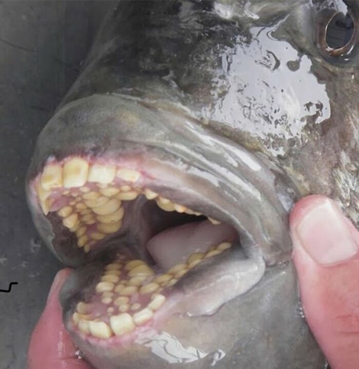 33 Creepy Photos That People Can’t Believe Someone Took 33 Creepy Photos That People Can’t Believe Someone Took