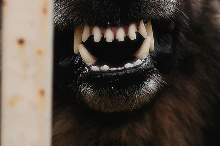 43 Terrifying Things People Just Cannot Come To Terms With 43 Terrifying Things People Just Cannot Come To Terms With