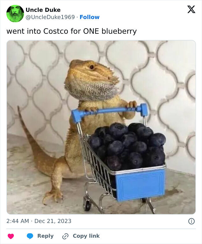 83 Hilarious Tweets From People Who Love Shopping At Costco
