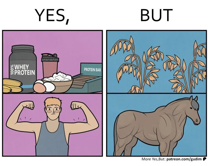 It&rsquo;s Funny Because It&rsquo;s True: 36 &ldquo;Yes, But&rdquo; Comics (New Pics)