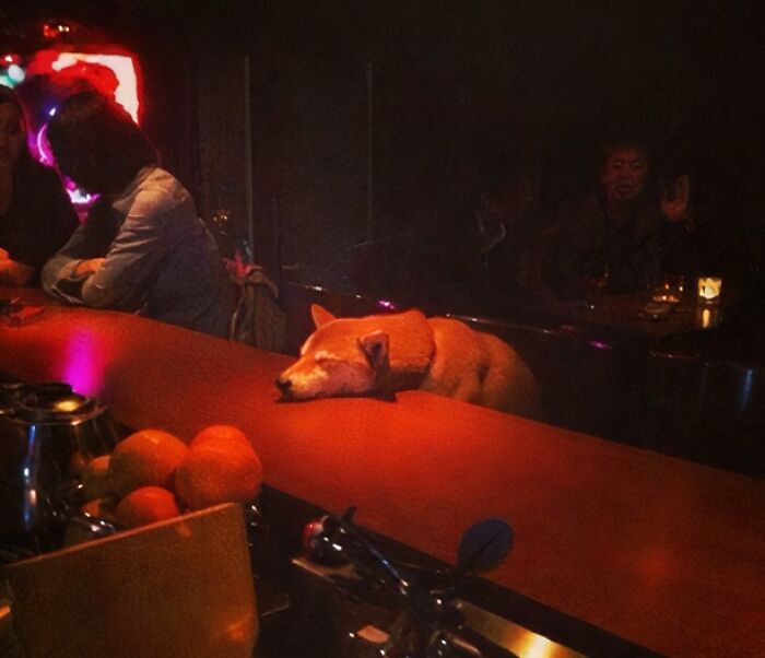 29 Hilarious And Slightly Cursed Nightclub Photos