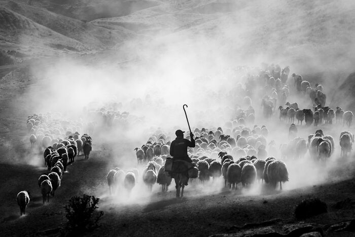 39 Breathtaking Shots That Won The 2026 World Food Photography Awards