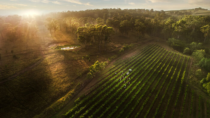 39 Breathtaking Shots That Won The 2026 World Food Photography Awards