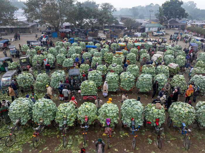 39 Breathtaking Shots That Won The 2026 World Food Photography Awards