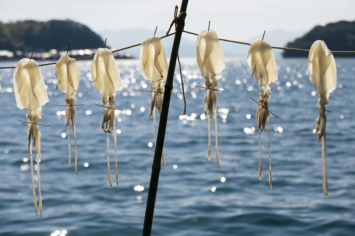 39 Breathtaking Shots That Won The 2026 World Food Photography Awards