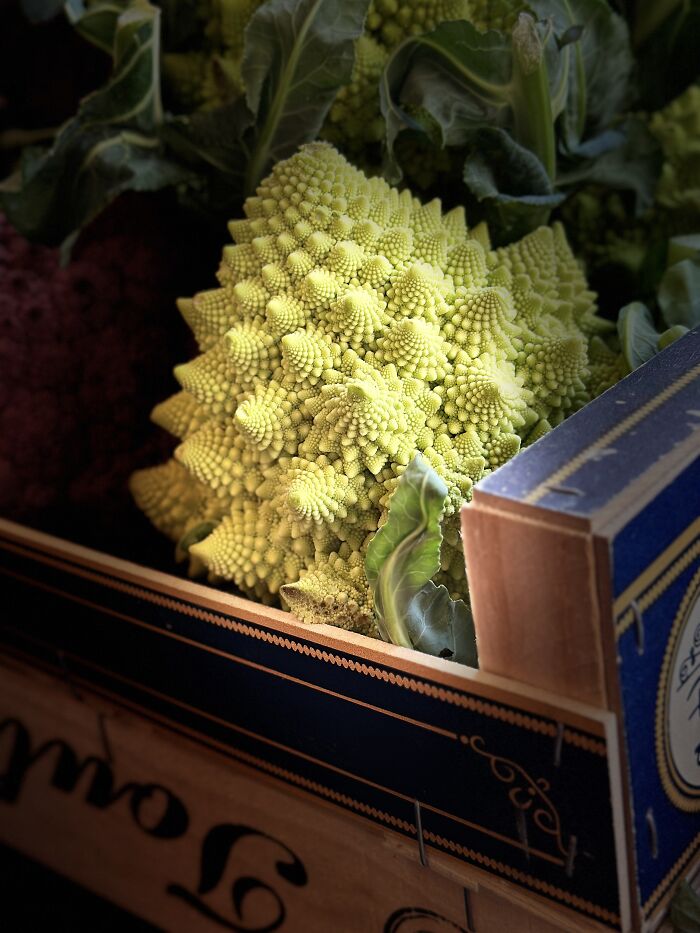 39 Breathtaking Shots That Won The 2026 World Food Photography Awards