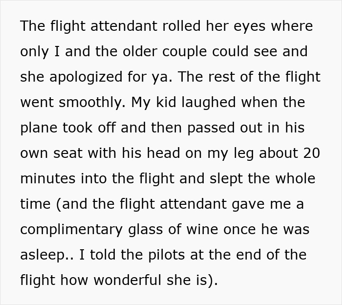 Entitled Mother Tries To Force Toddler Out Of Paid Seat, And The Flight Attendant’s Move Is Pure Satisfaction