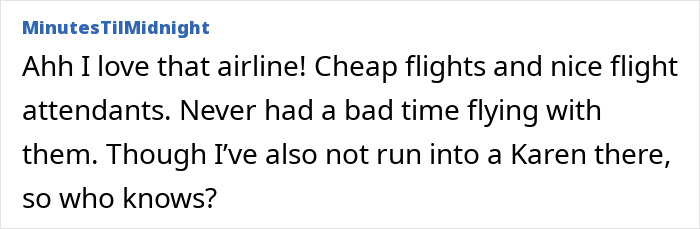 Entitled Mother Tries To Force Toddler Out Of Paid Seat, And The Flight Attendant’s Move Is Pure Satisfaction