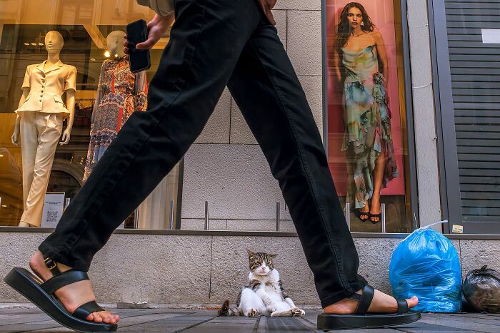 80 Street Photos By Dan Morris That Capture Cities From Perspectives Most People Miss