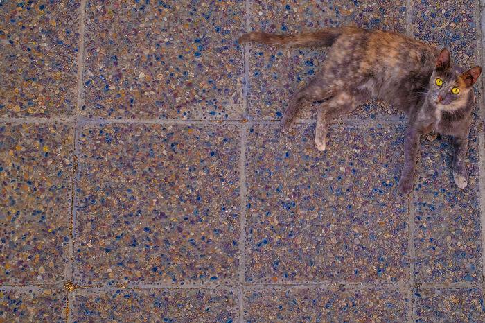 80 Street Photos By Dan Morris That Capture Cities From Perspectives Most People Miss