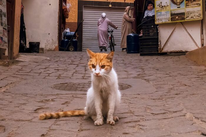 80 Street Photos By Dan Morris That Capture Cities From Perspectives Most People Miss